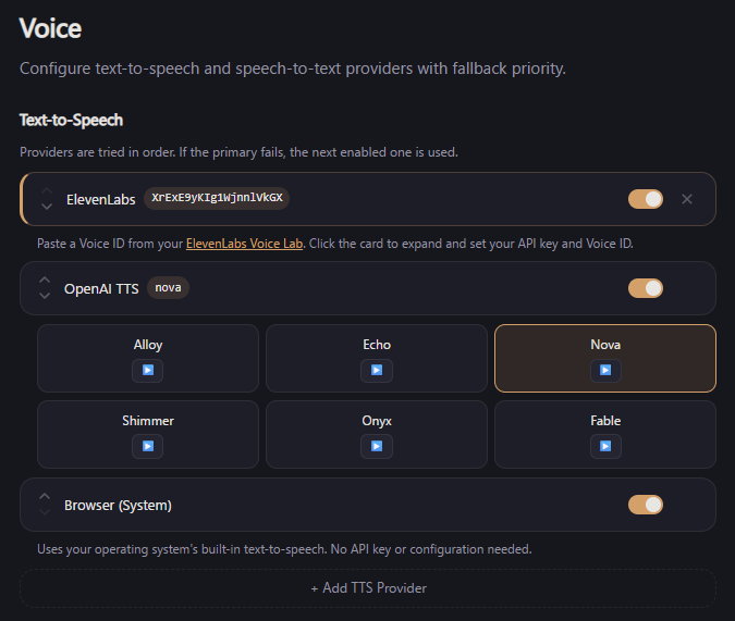 Voice feature screenshot